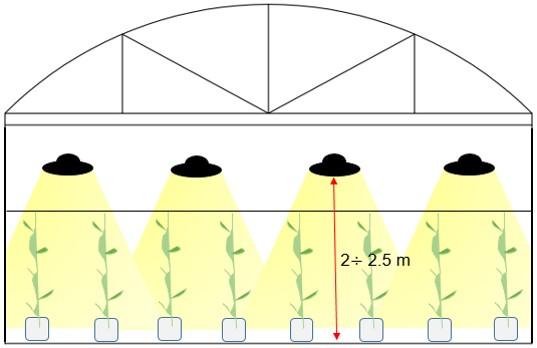 Đèn LED Chuyên dụng trồng dưa lưới, cà chua, dâu tây, hoa lan và các dòng cây khác Model: LED UFO330 150W/WBU