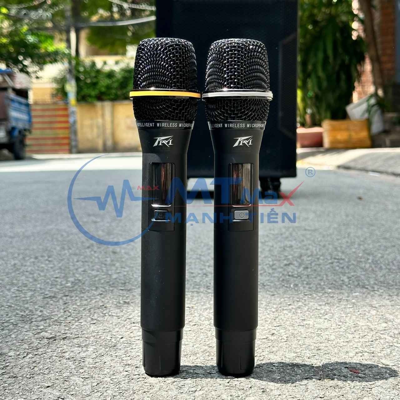 Loa Kéo Karaoke LW1565 - Công Suất 500W -Kèm 2 Micro Bluetooth -Bass 40cm Siêu Trầm- Hỗ Trợ Bluetooth, USB, Thẻ Nhớ