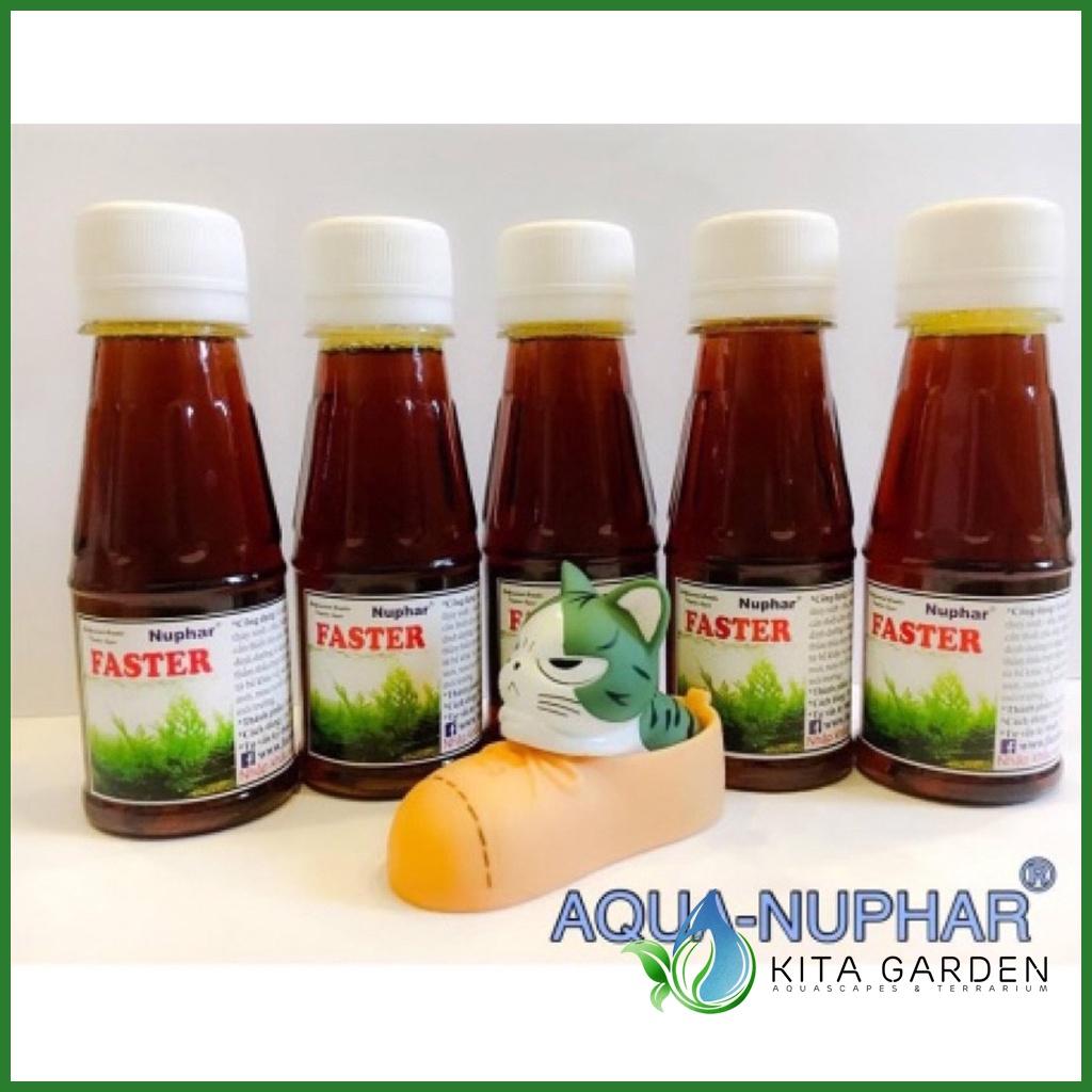 Nuphar - Faster | Chế phẩm kích rễ, thúc đẩy tăng trưởng cho cây thuỷ sinh