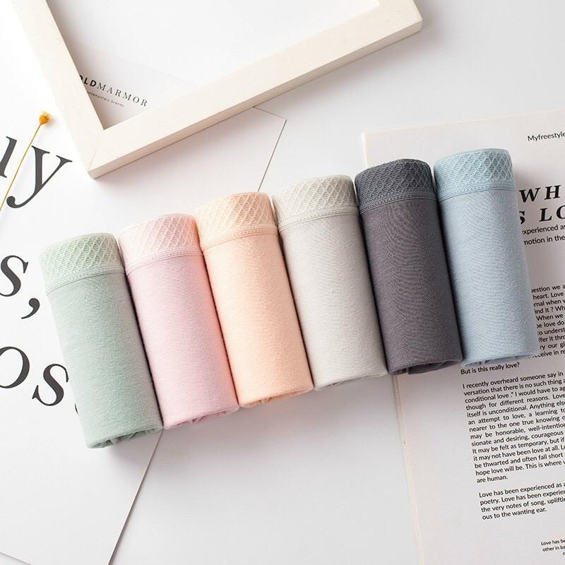 Quần Lót Cotton Cạp Lưới Cao Cấp, quần lót cotton tăm tre viền lưới mẫu mới sexy Quần lót nữ cotton QL03