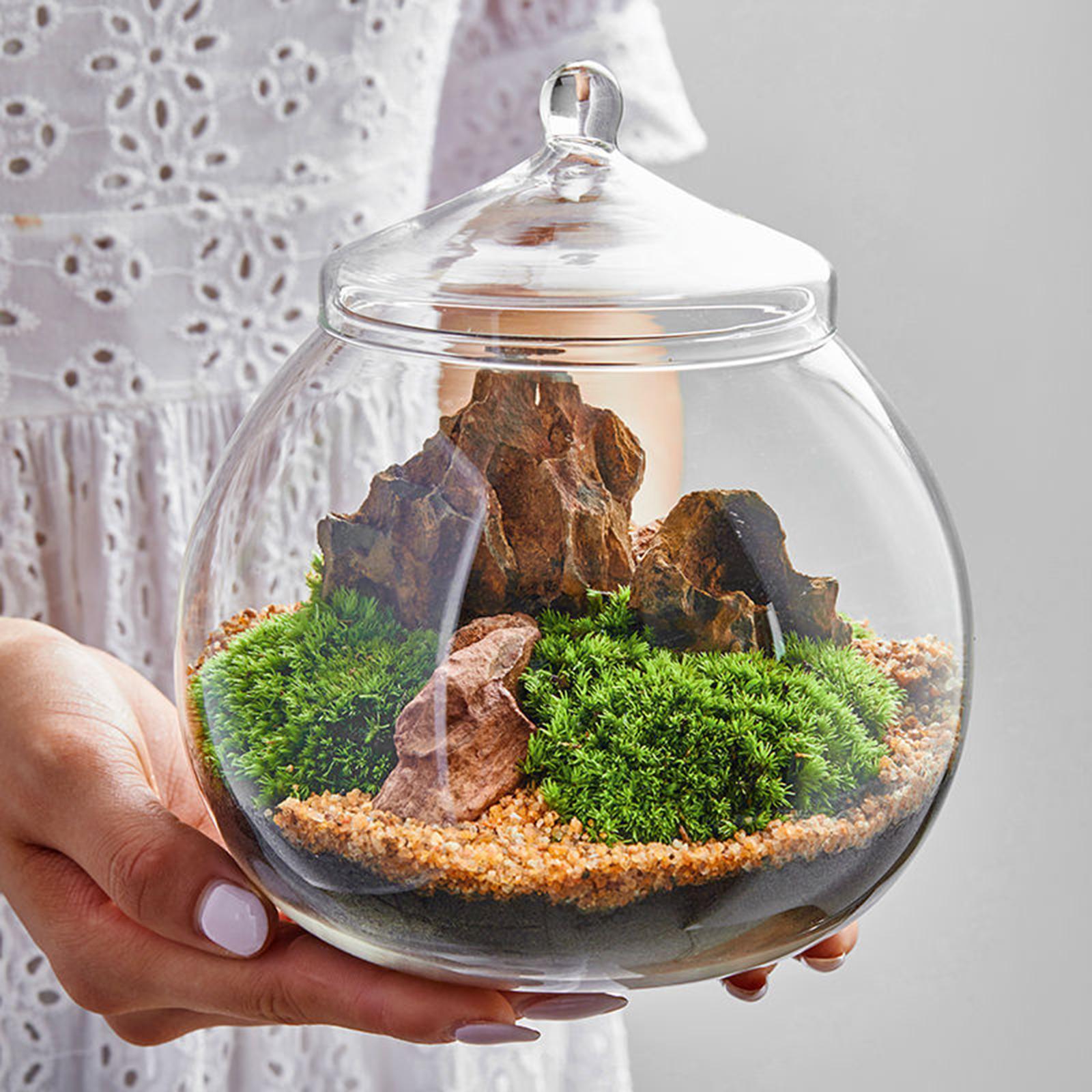 Glass Terrarium, Glass Plant Container, Sealed Storage Jar, Centerpiece Planter Jar Micro Landscape Bottle for Candy Coffee kitchen Nuts