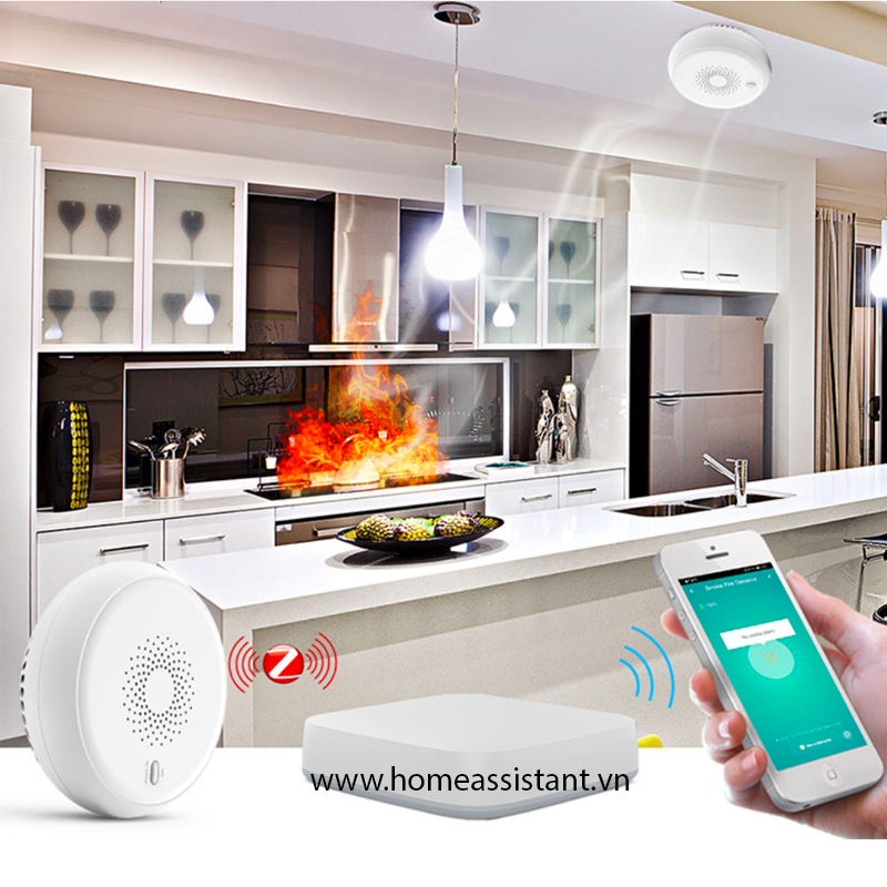 Đầu Cảm Biến Báo Khói Hỏa Hoạn Zigbee Tuya ZW05 (Hỗ trợ Home Assistant)