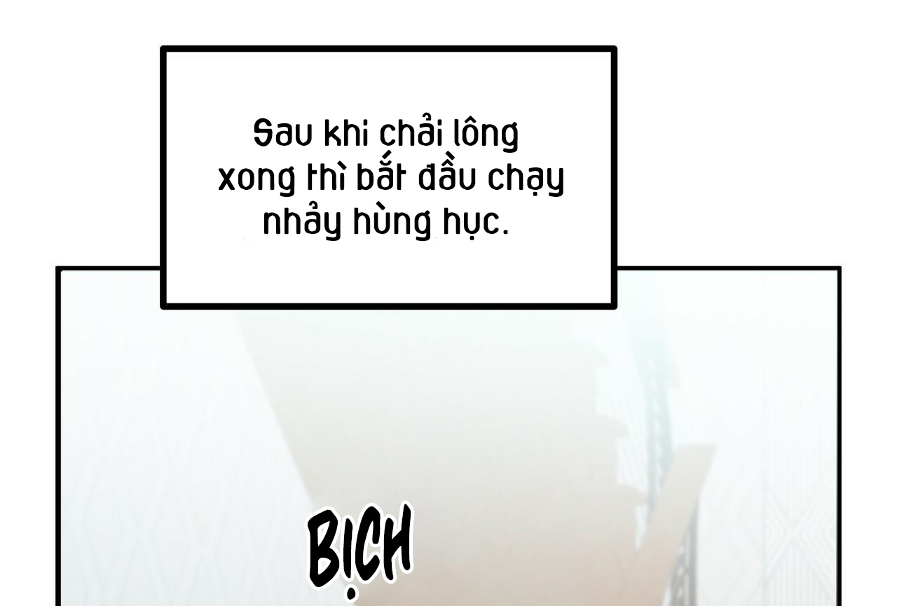 đàn thỏ của habibi chapter 28 159