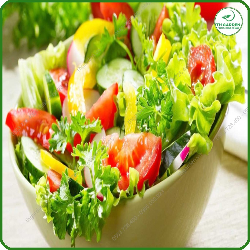 Hạt Giống Cà Chua Chịu Nhiệt F1 Ngon Quả To - Giàu Dinh Dưỡng - Năng Suất Cao - Hạt Giống Dễ Trồng Dễ Chăm Sóc