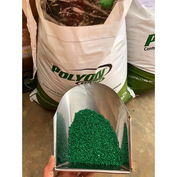 Phân tan Chậm Mỹ PoLyon hạt xanh - 16-6-12