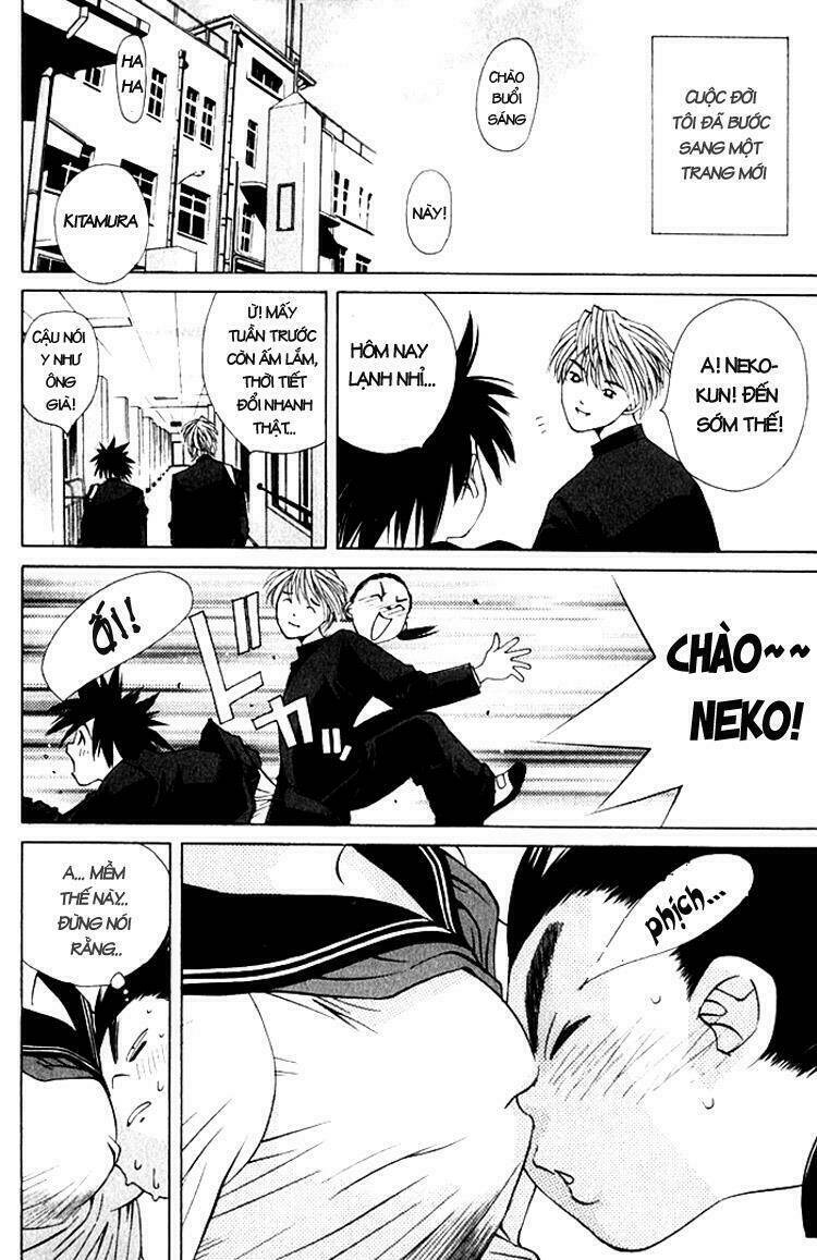 parallel chapter 19 28