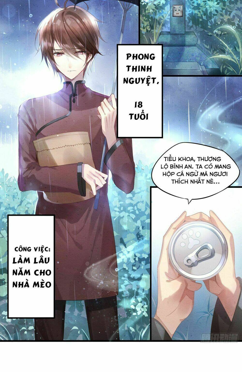 làm mèo của ta chapter 1 5