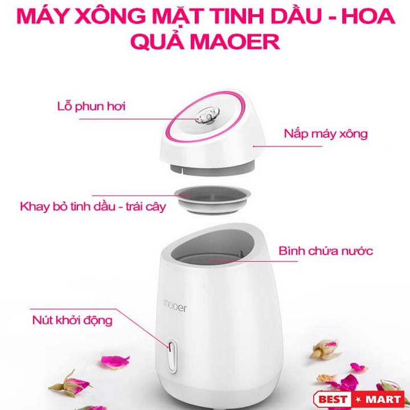 Máy xông mặt và tạo ẩm cho da mặt hoa quả tươi phun sương manh