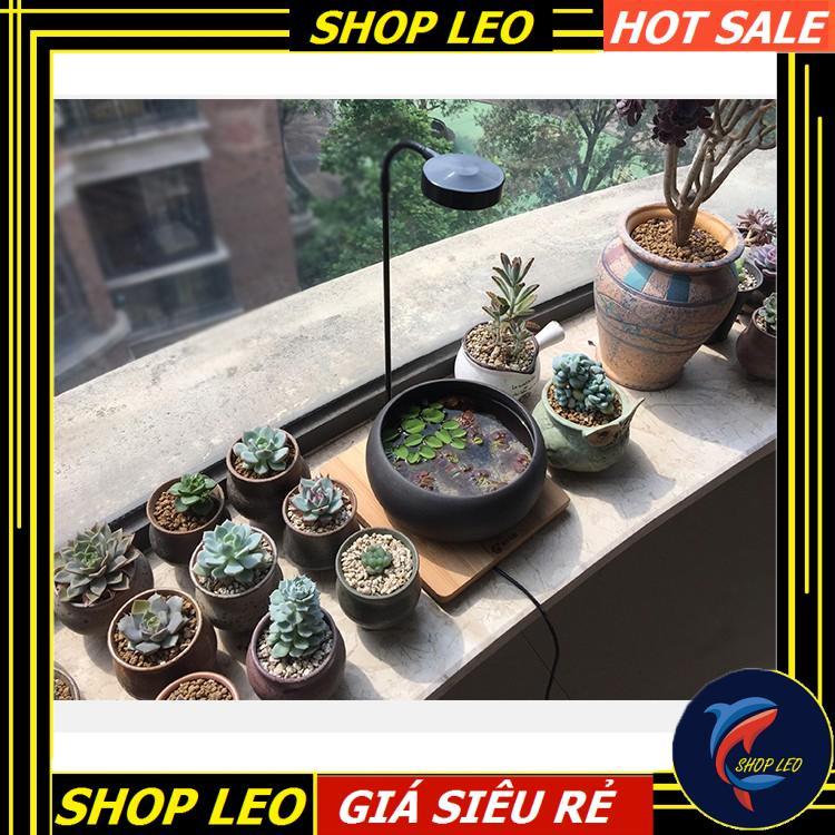 Đèn Led đế gỗ BamBoo 3W - Phụ kiện thủy sinh - shopleo