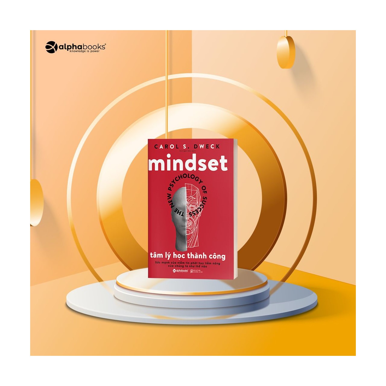 Sách Tâm Lý Học Thành Công (Tái Bản)