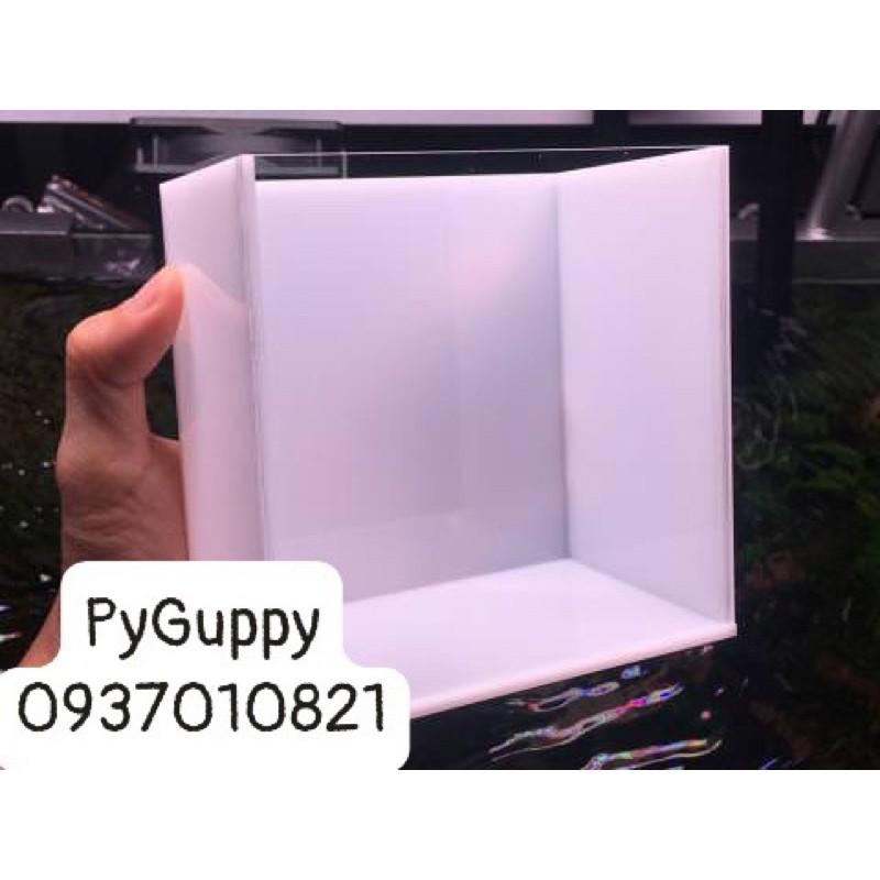 Keo Show Cá ACrylic Siêu Trong-Trong-Trắng-Xanh-Đen-show cá betta-Guppy-7màu-Neon-Hồ nuôi cá Mini 12x7x12-15x8x15