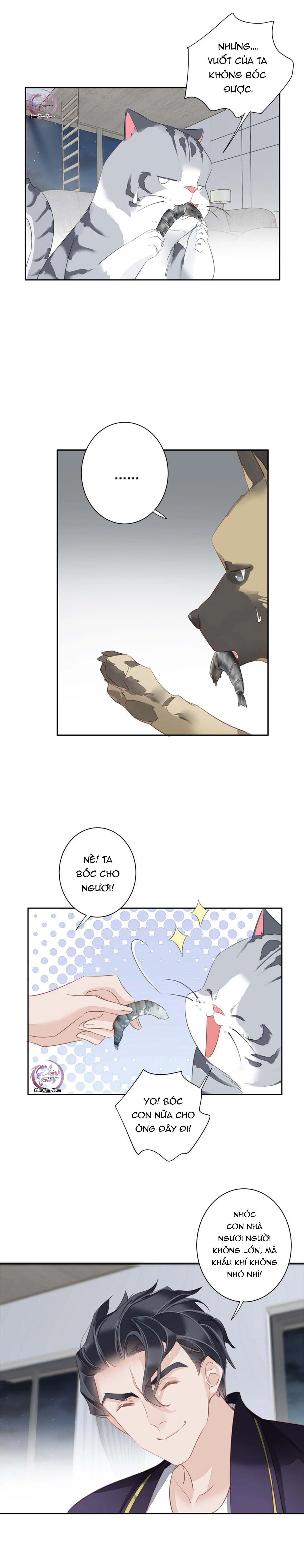 cuộc mai mối vượt giống loài chapter 54 8