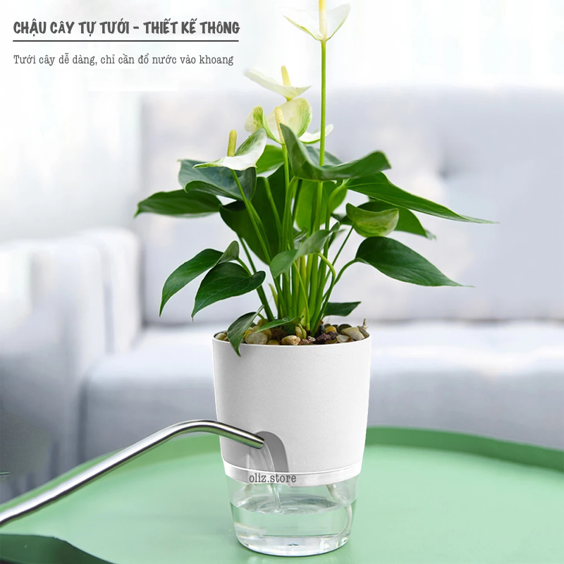 Chậu trồng cây thông minh A7. Có chức năng tự tưới nước cho cây