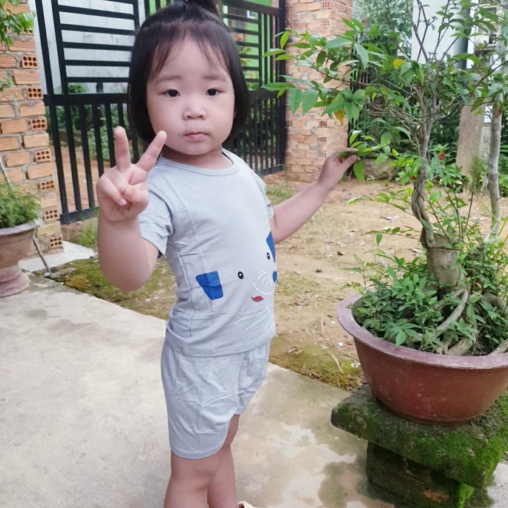 Đồ Bộ Voi Con Cho Bé Vải Thun Lạnh