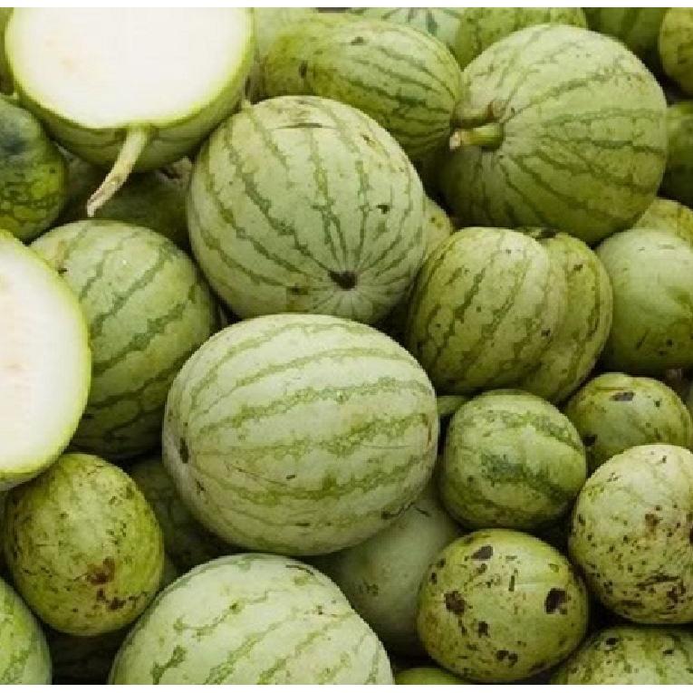 Hạt giống dưa hấu nụ - dưa hồng - dưa canh KNS3299 - Gói 10 hạt