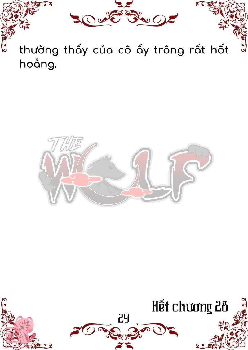 bầy sói giữa dane chapter 28 30