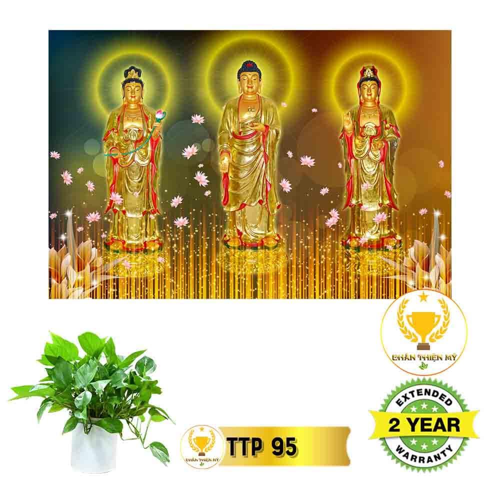 Tranh điện Tam Thế Phật_TTP10