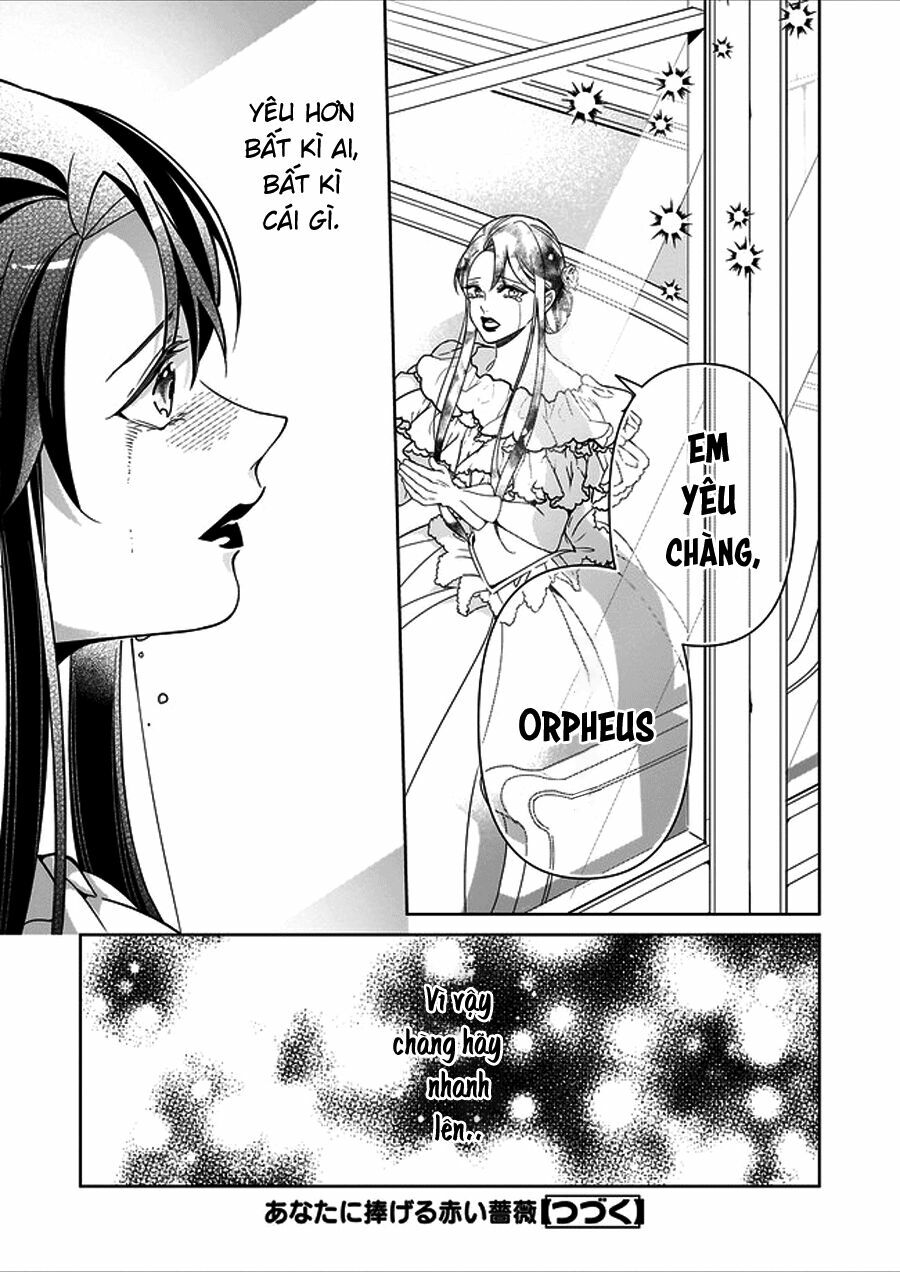 a red rose devoted to you chapter 1 20