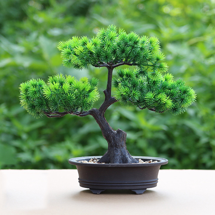 Chậu Cây Bonsai Dáng Cây Thông Trang Trí Nhà Cửa Sang Trọng - Hoa Giả, Cây Giả