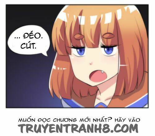 internet explorer chapter 14 6