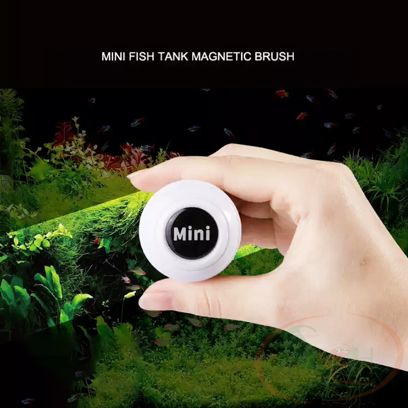Nam Châm Cọ Bể Mini Vệ Sinh Rêu Tảo Bám Kính Hồ Cá