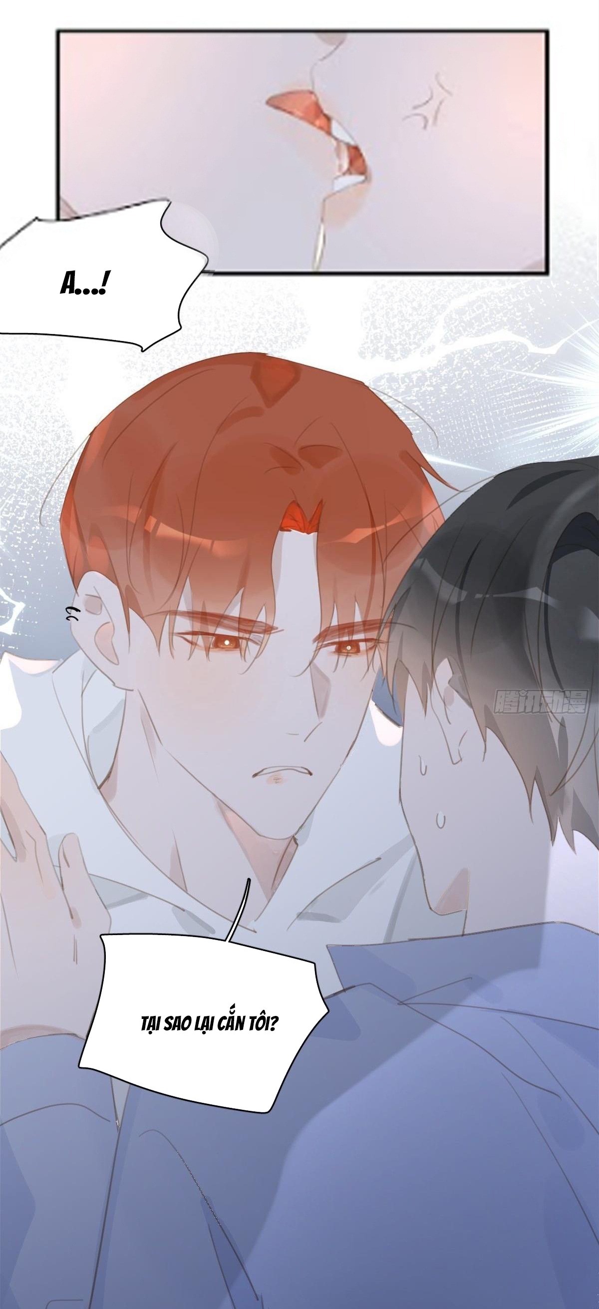 đêm đầy sao nói với em chapter 61 15