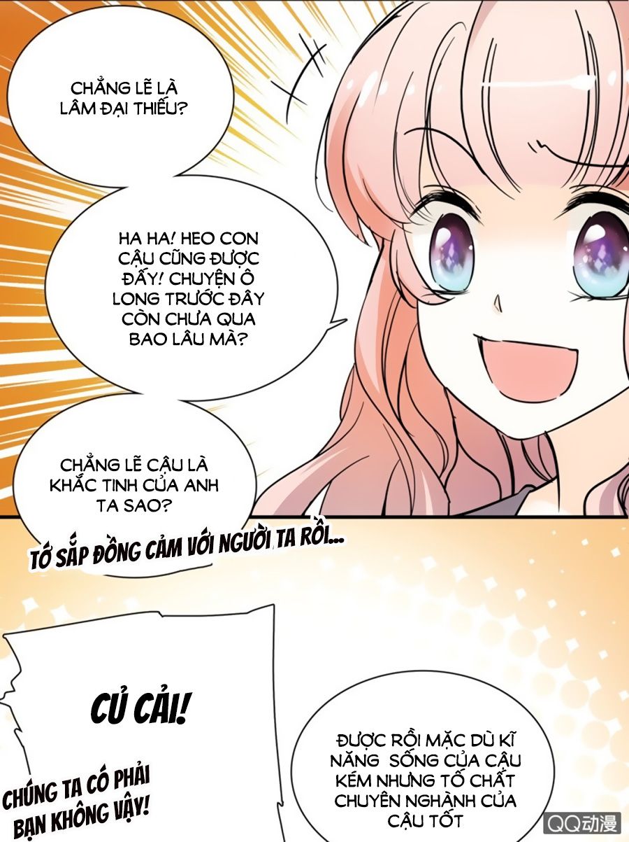 tịch nhan hoa nở chỉ vì em chapter 19 17