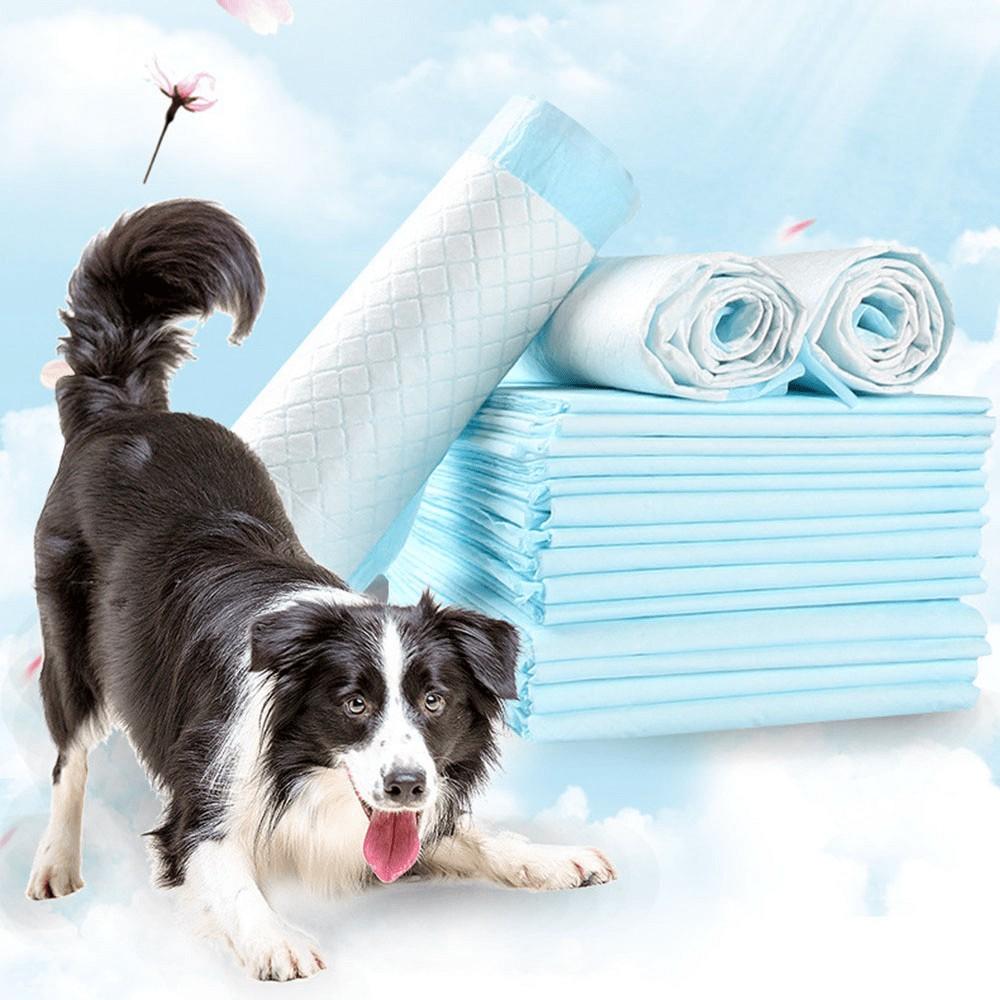 Combo 10 tấm lót vệ sinh cho chó mèo Ngáo Và Gâu Đần kích cỡ 45x60cm
