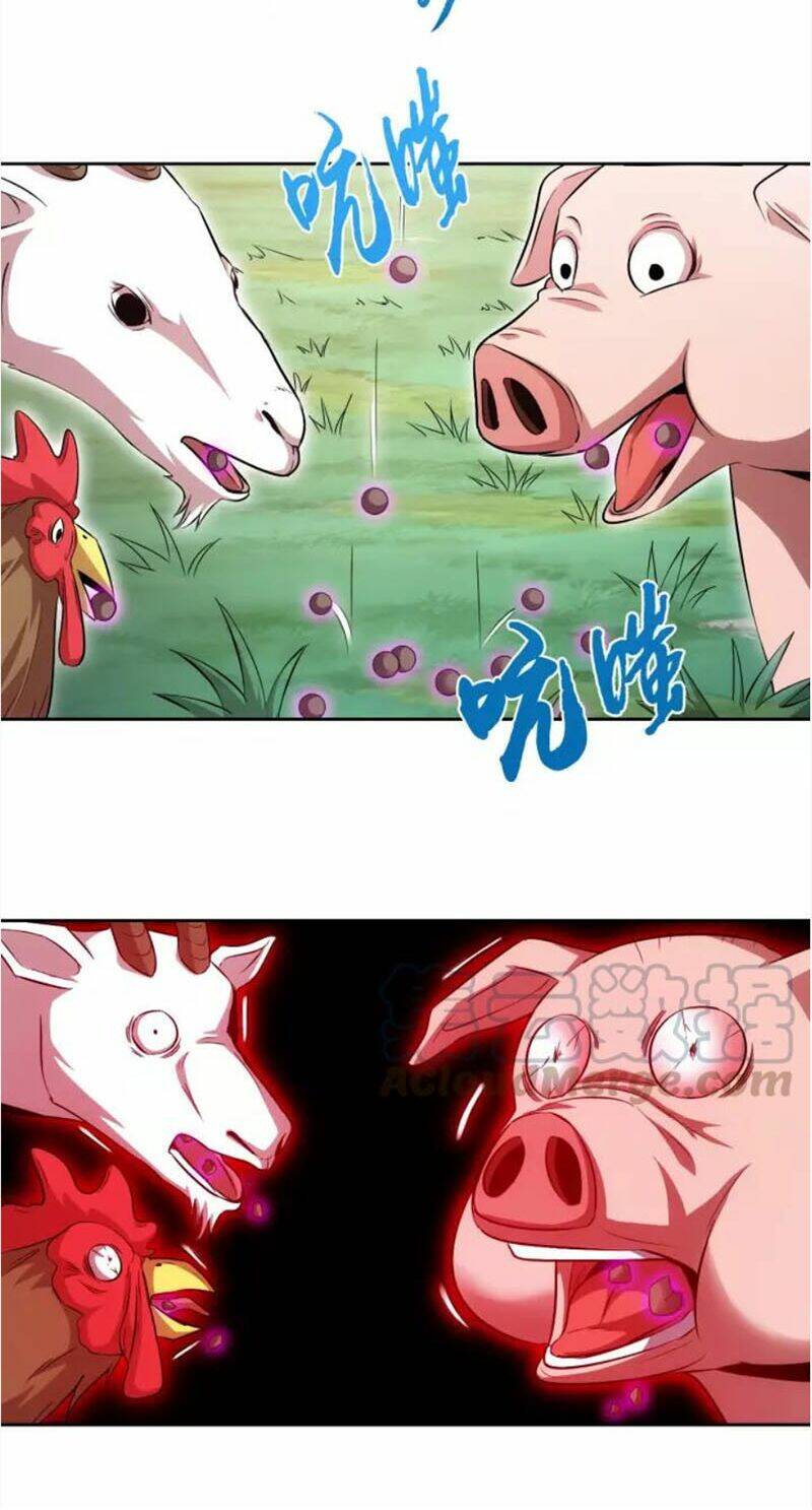 chín năm nghĩa vụ tu chân chapter 43 34