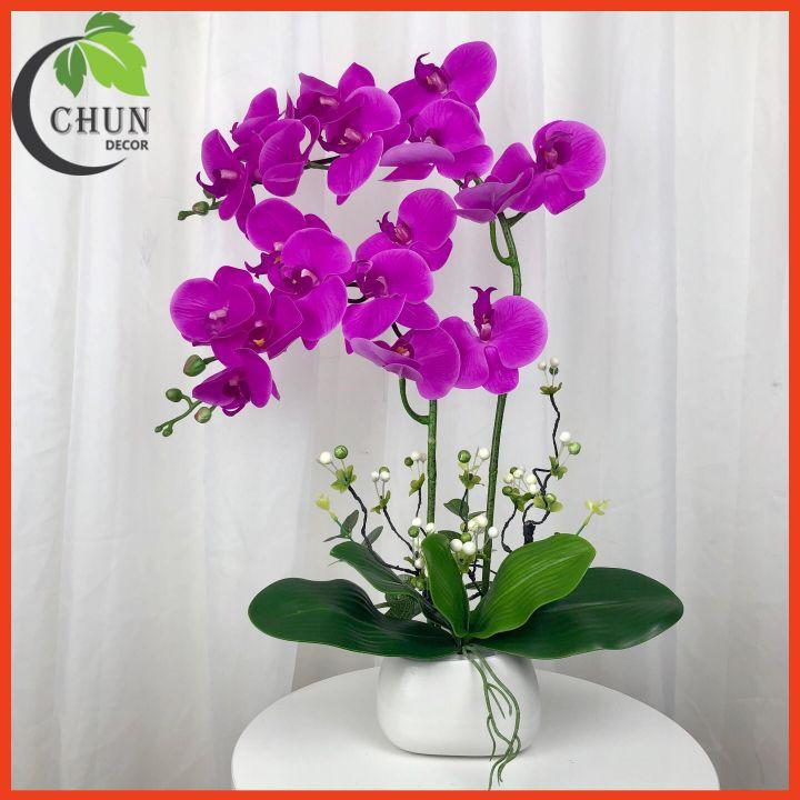 Chậu hoa giả lan hồ điệp để bàn 2 nhánh cao 60cm trang trí nhà cửa, bàn làm việc, kệ tủ siêu đẹp CL3