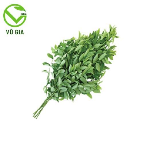 Bột Rau Ngót Sấy Lạnh Nguyên Chất Vũ Gia