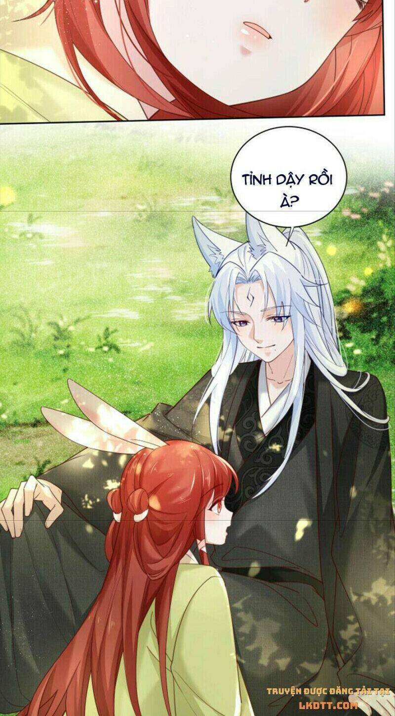 hắc hóa nam chính trực tuyến nuôi thỏ chapter 50 28