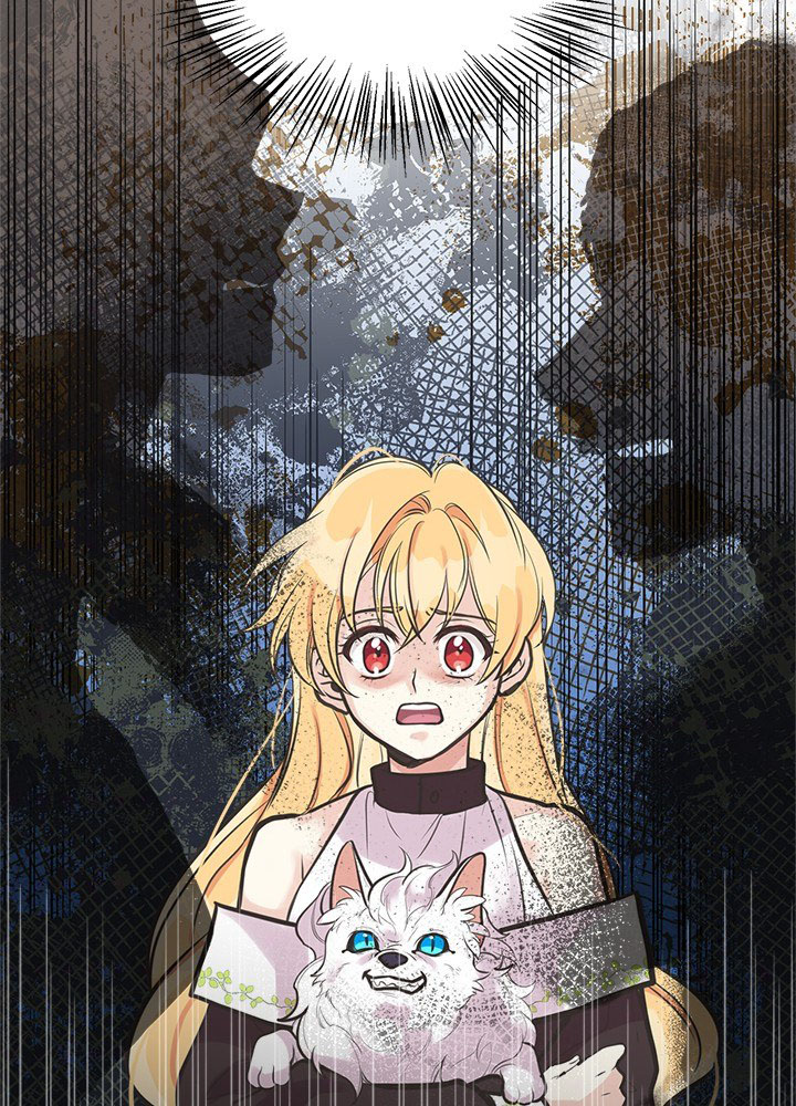 chị tôi đã nhặt về một nam chính quyến rũ chapter 57.2 7