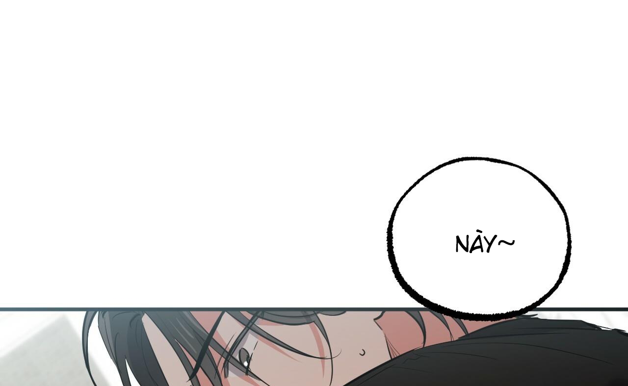 những chú thỏ của hapypy chapter 52 62