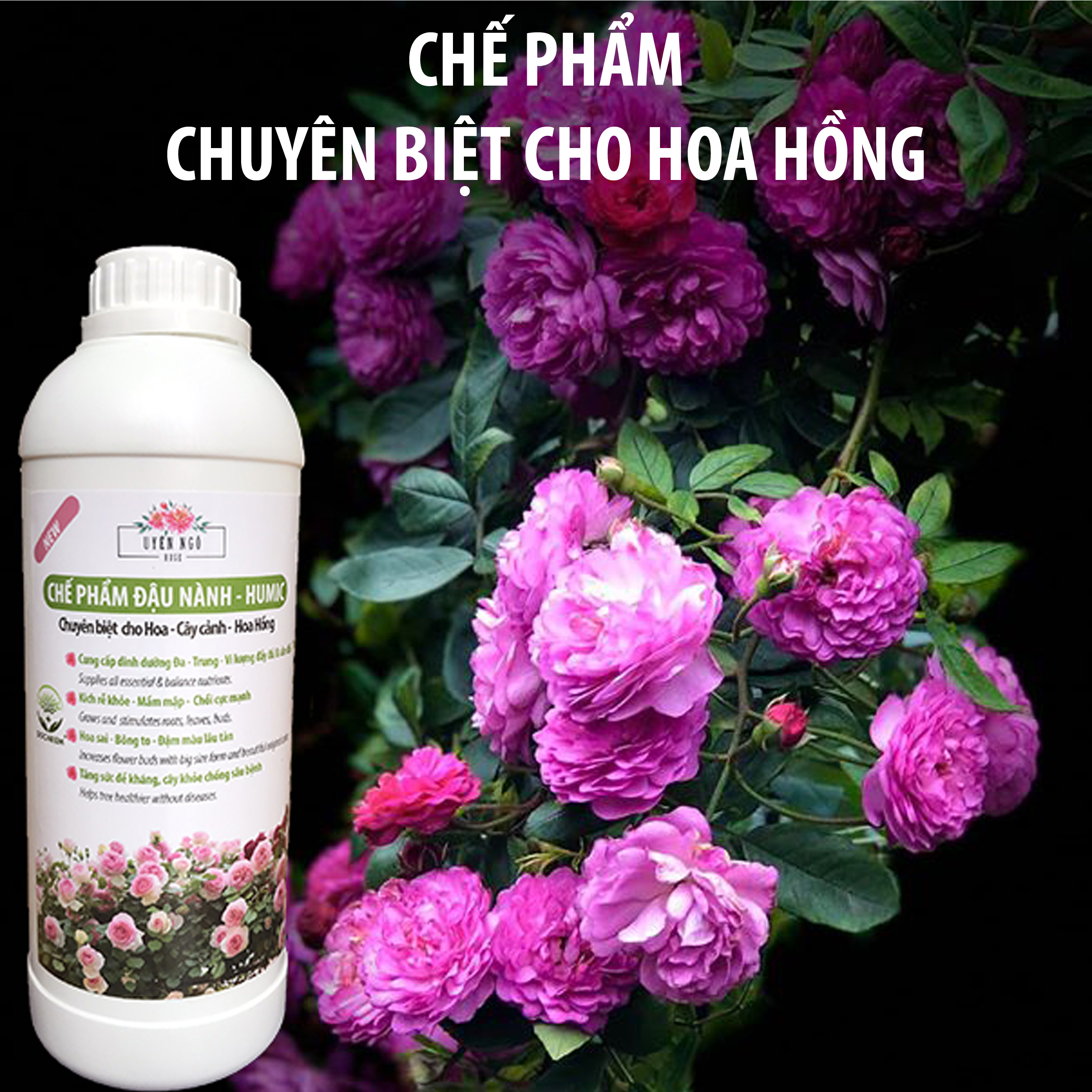 Phân bón hữu cơ đậu tương, đậu nành trứng chuối humic DOCNEEM kích mầm, chồi, hoa chuẩn form trên hoa hồng, cây cảnh, chai 1 lít