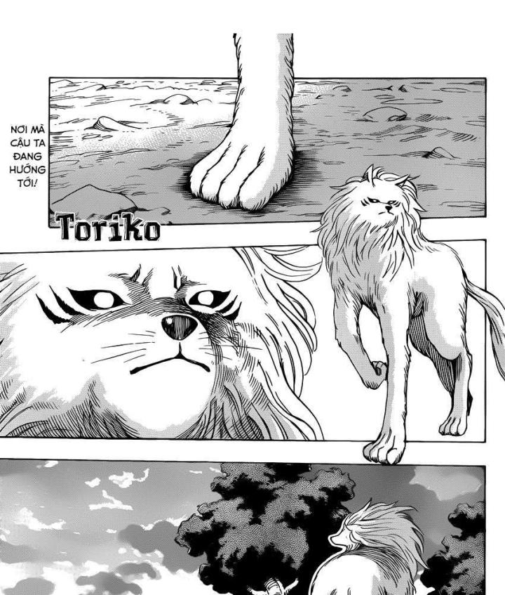 thánh tỏi sành ăn chapter 258 5