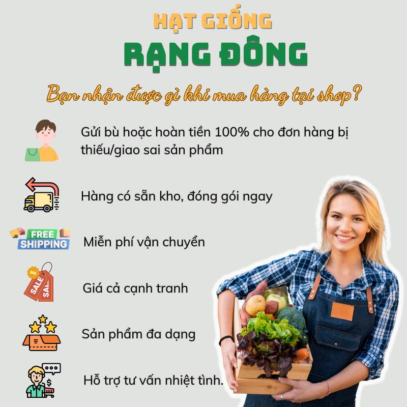 Hạt giống Ớt Kiểng Ngũ Sắc Rd 825 (0,2g~25 hạt) trái sai, ăn được, trồng làm kiểng, quanh năm - Hạt giống Rạng Đông