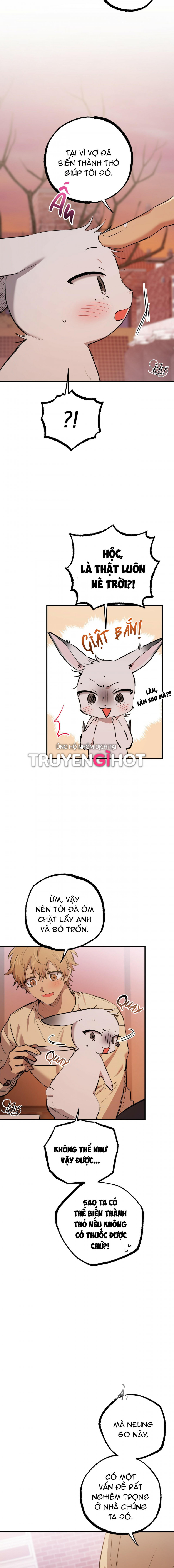 những chú thỏ của hapypy chapter 37.5 1