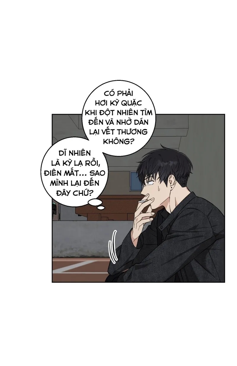 hãy bảo vệ tình yêu thuần khiết! chapter 8 55