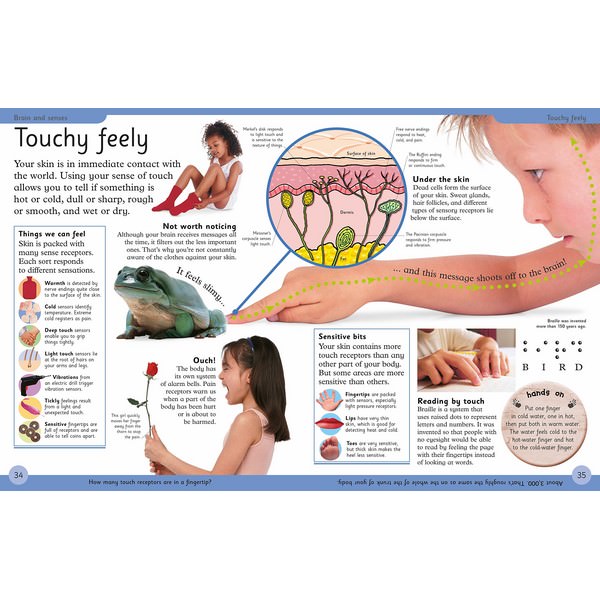 First Human Body Encyclopedia