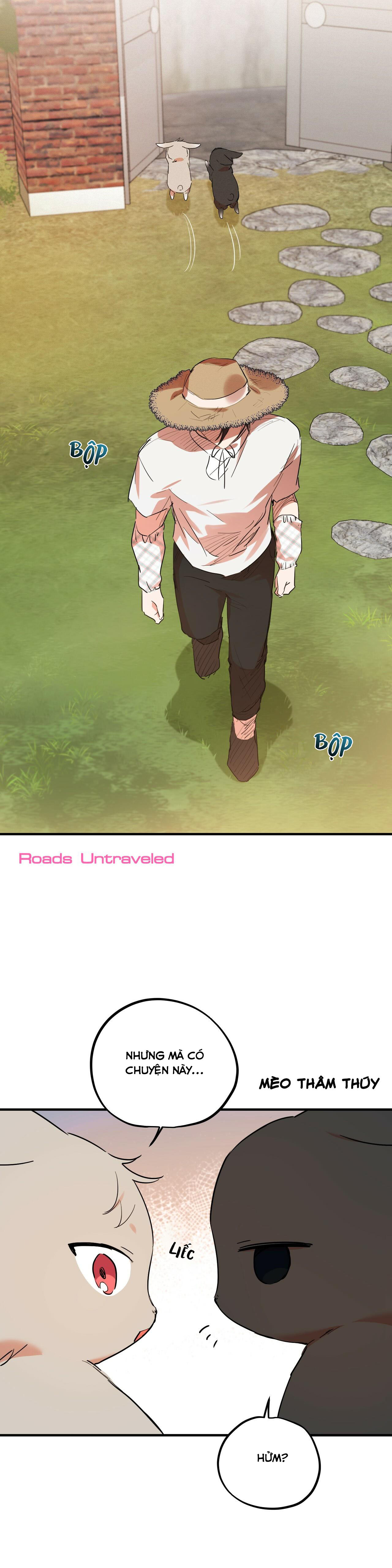 đàn thỏ của habibi chapter 10 35