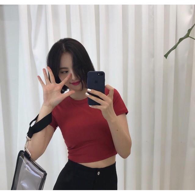 Áo Thun Nữ Croptop Body Hàn Quốc