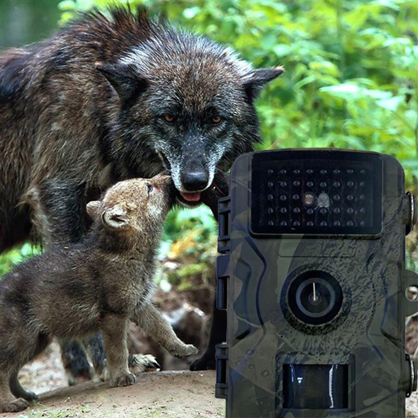 Trail Camera Mini with Night View Deer Camera for Garden Wildlife Watching
