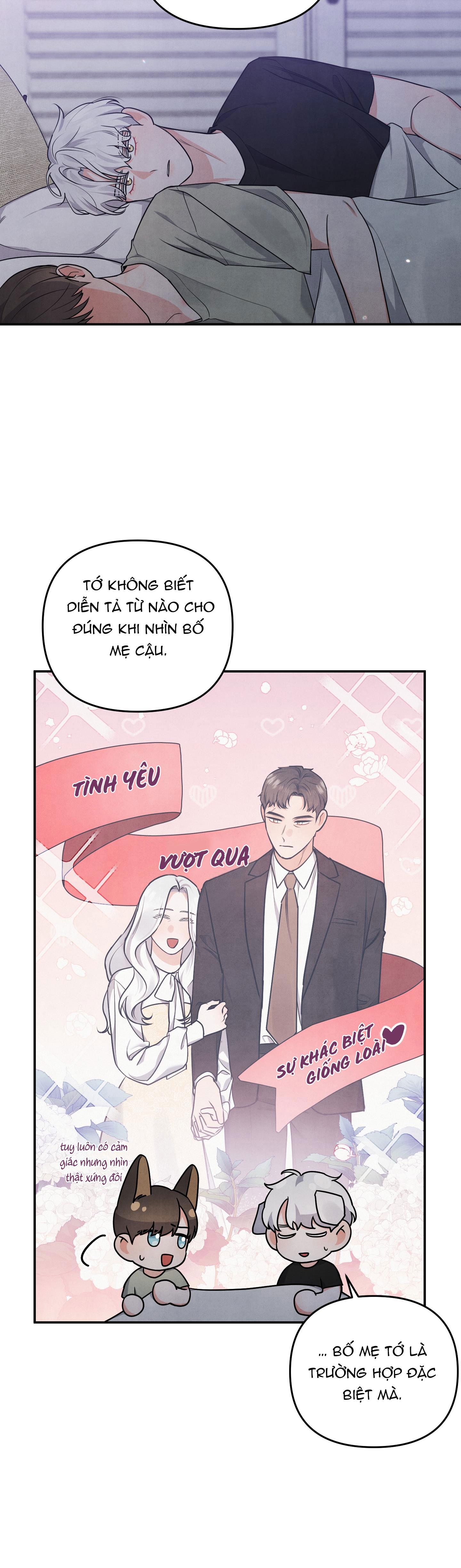 mối quan hệ ngu ngốc chapter 16 20