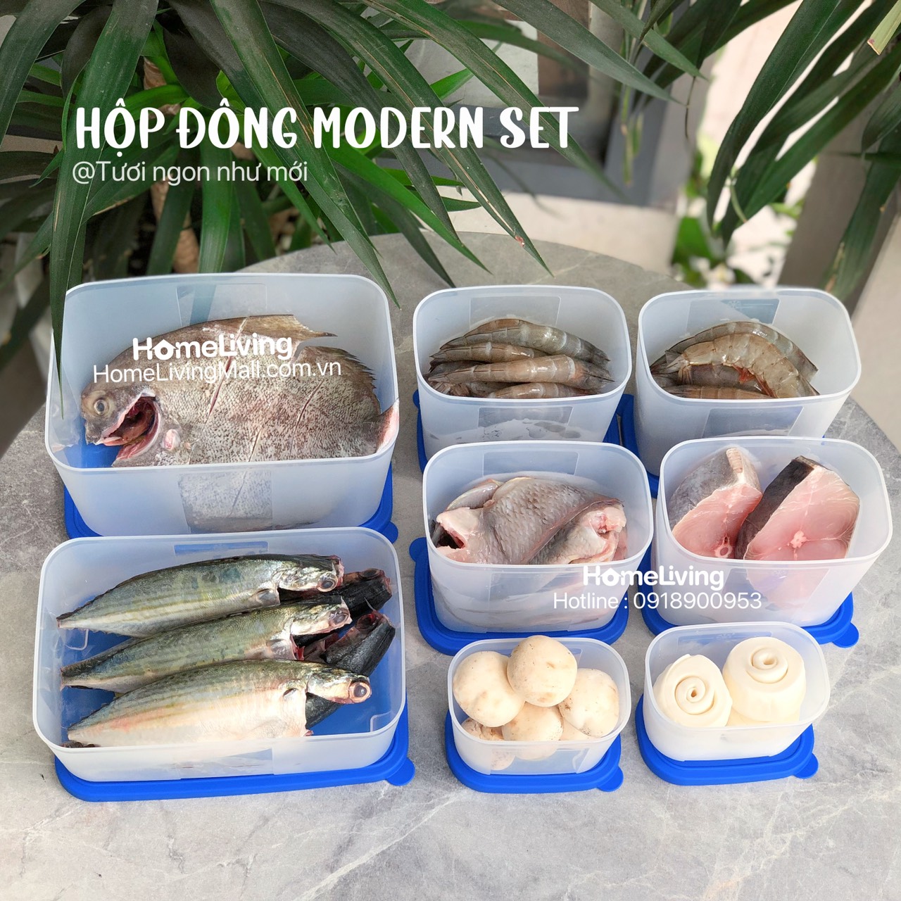 Combo Trữ Đông & Mát Tupperware Modern Set 16