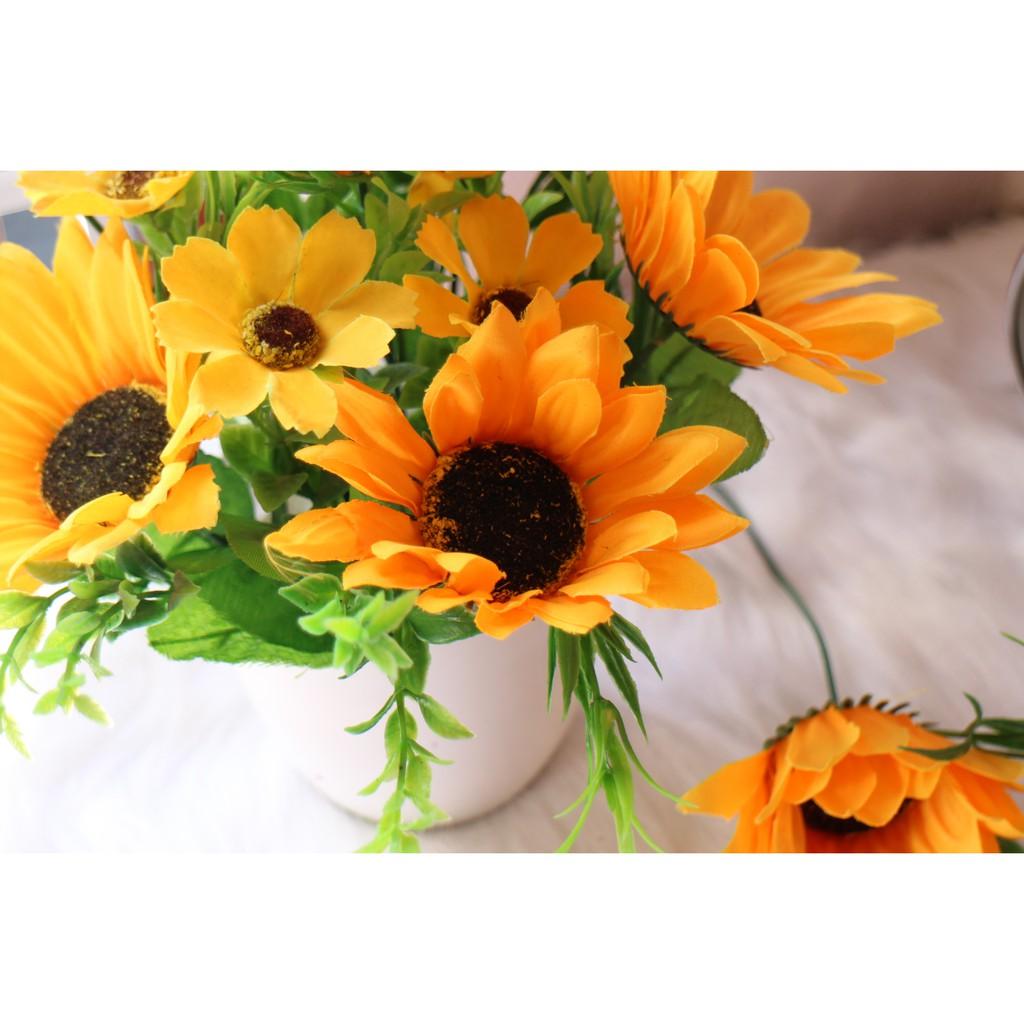 Chậu hướng dương nhỏ để bàn