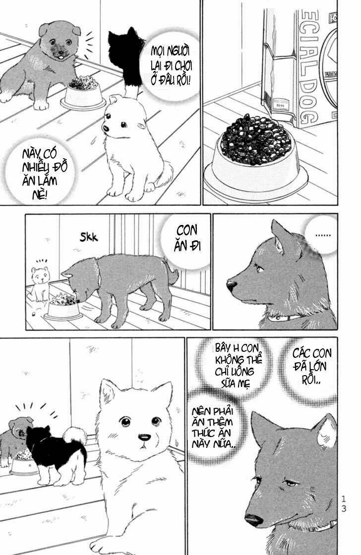 deep love - pao no monogatari chapter 1 16