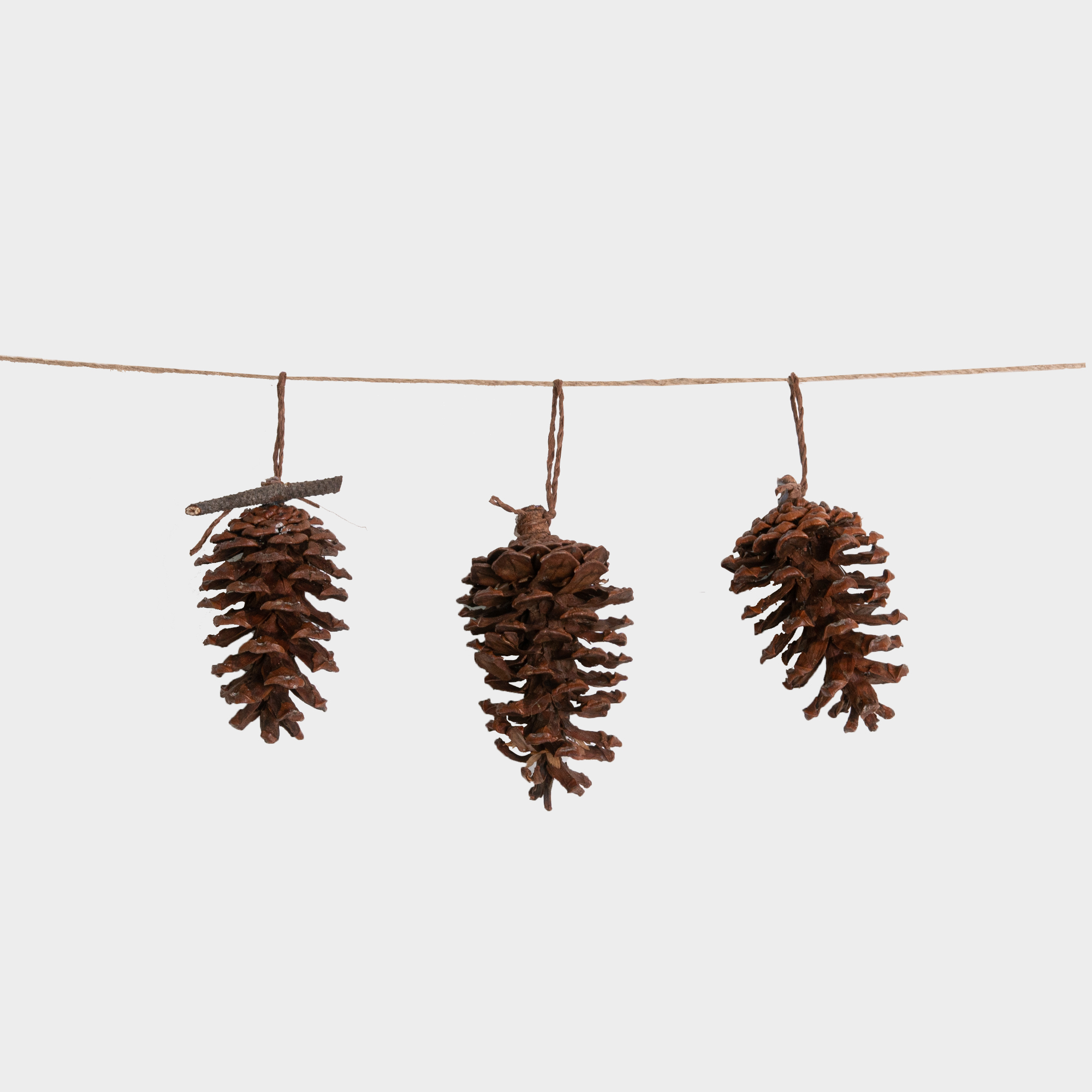 Set Quả Thông Khô ISTU Trang Trí Cây Thông Noel