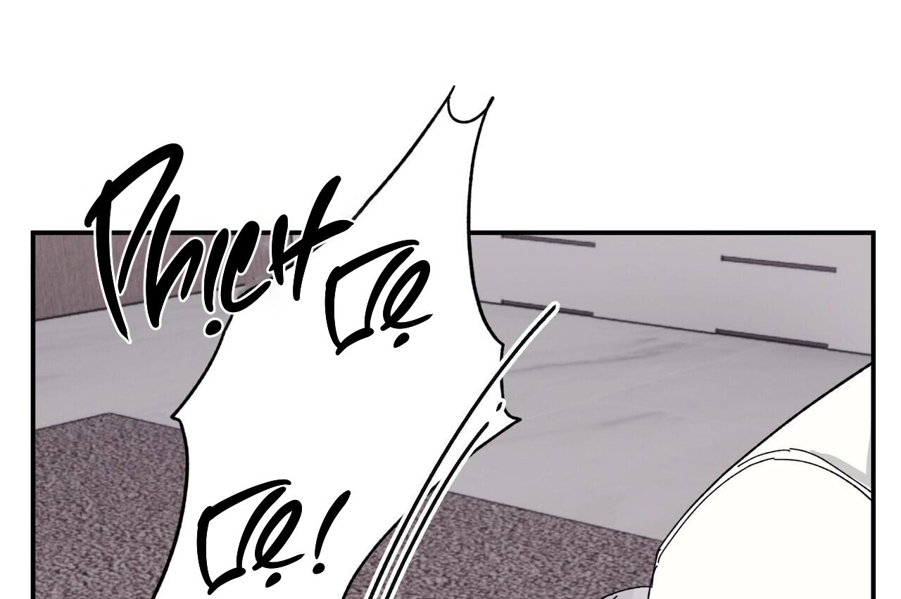 chàng dâu nhà họ kang chapter 34 131