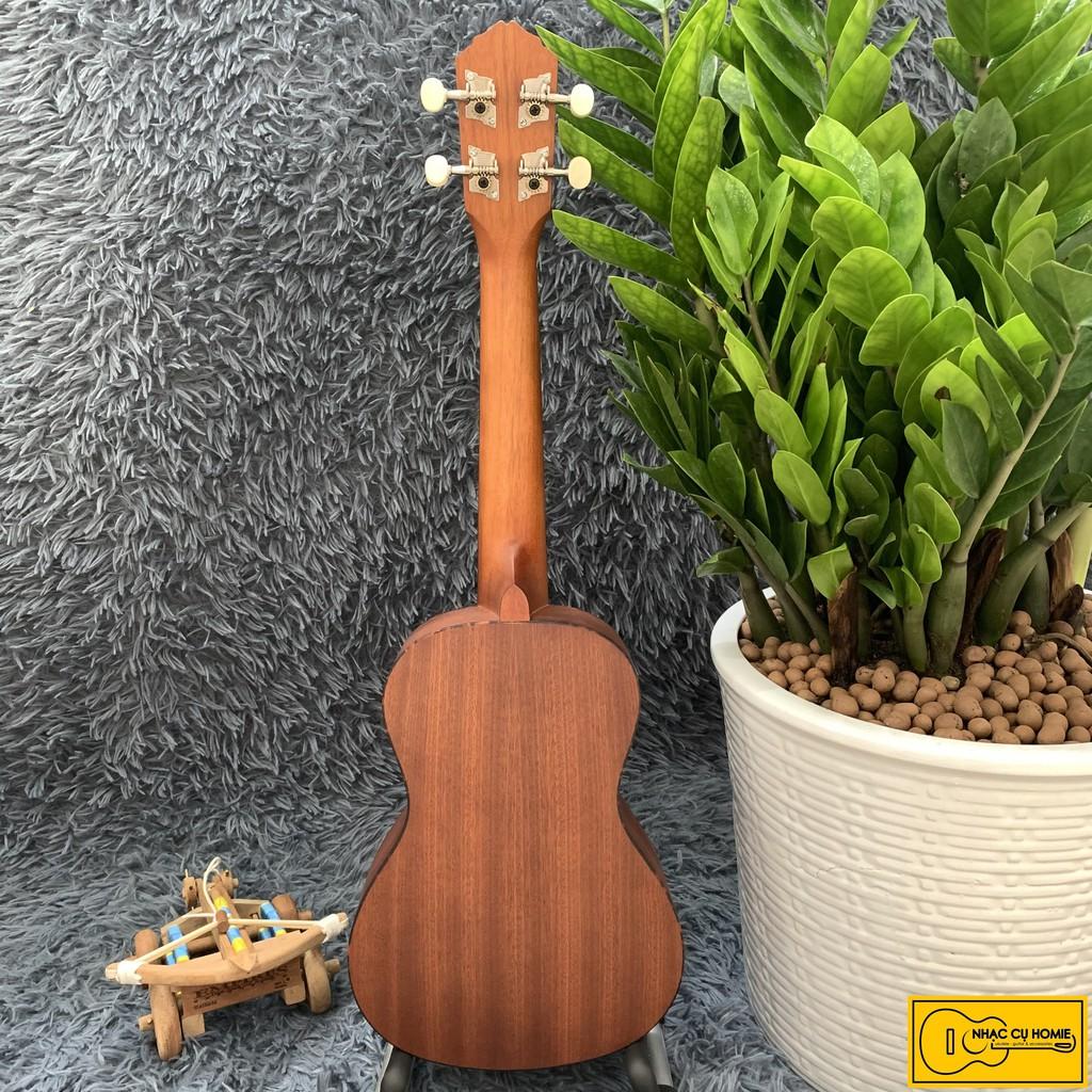 ĐÀN UKULELE CONCERT HOA TRÒN